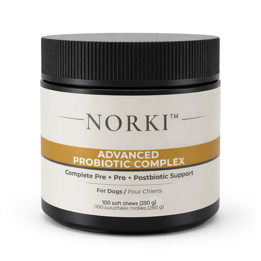 Advanced Probiotic Chews for Dogs