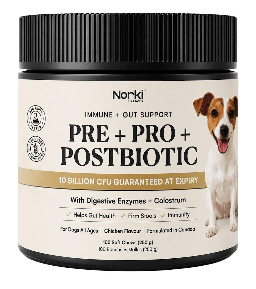Pre + Pro + Postbiotic for Dogs
